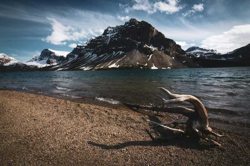Banff: Columbia Icefield, Skywalk, Parkway, Bow & Peyto Lake - Who will get the most from this tour