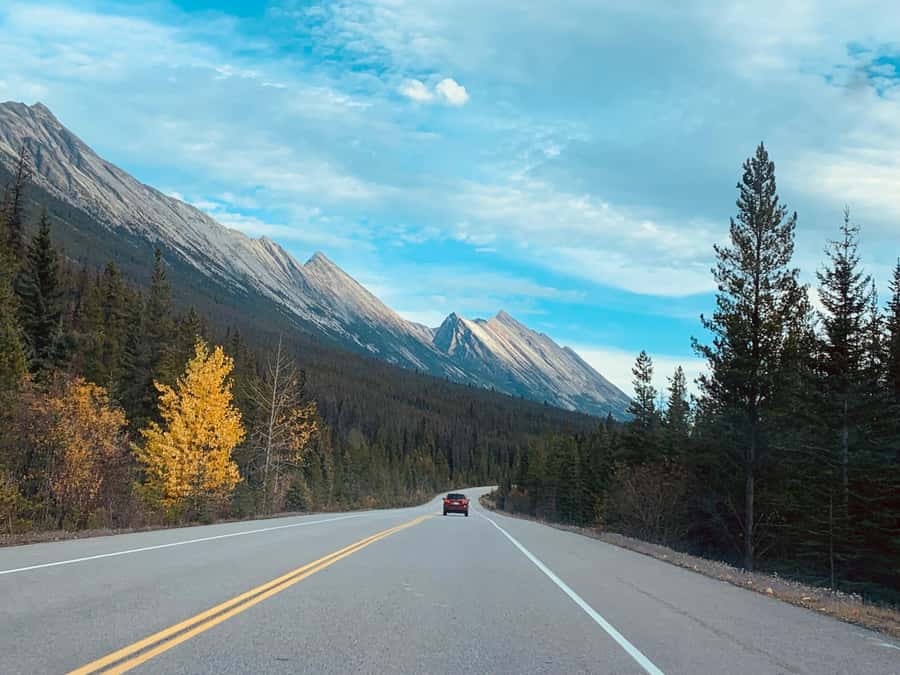Banff: Columbia Icefield, Skywalk, Parkway, Bow & Peyto Lake - Peyto Lake offers the famous turquoise view