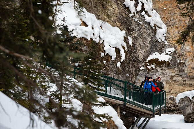 Banff Day Trip: Johnston Canyon, Fairmont Banff Springs, Gondola - Johnston Canyon and the waterfall walk