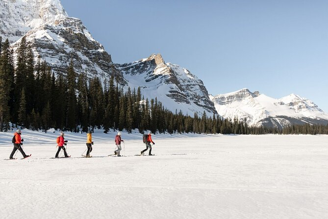 Banff Day Trip: Johnston Canyon, Fairmont Banff Springs, Gondola - Timing, group size, and the cost of convenience