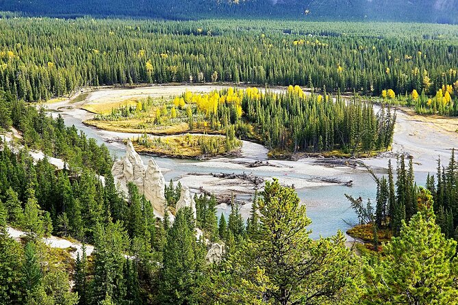 Banff Deep 1 Day Tour in small group - Sulphur Mountain and the optional gondola