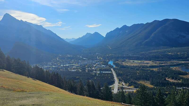 Banff: Evening Wildlife Safari Guided Tour - What the two-hour evening safari is really like