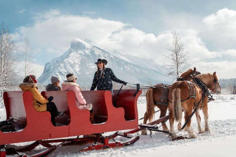 Banff: Family Friendly Horse-Drawn Sleigh Ride - Mountain Views Across Banff’s Open Meadows