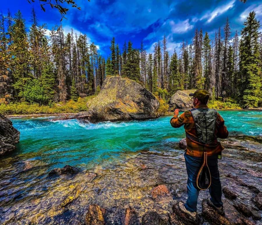 Banff: Gondola, Hot Springs, Bow falls & Three lakes tour - The Banff Gondola is the tour’s big payoff