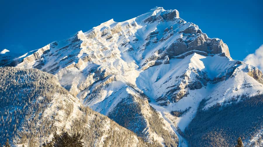 Banff: Gondola Ticket and Johnston Canyon Hiking Tour - Guides, groups, and the practical rhythm