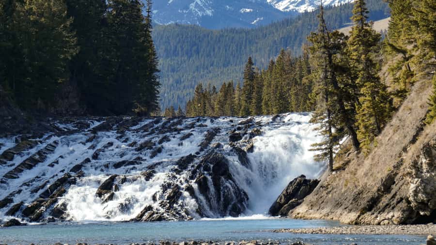 Banff: Gondola Ticket and Johnston Canyon Hiking Tour - Sulphur Mountain and the Banff Gondola