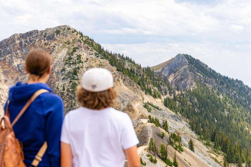 Banff: Grizzly Bear Refuge Tour with Lunch - What the $229 price really covers