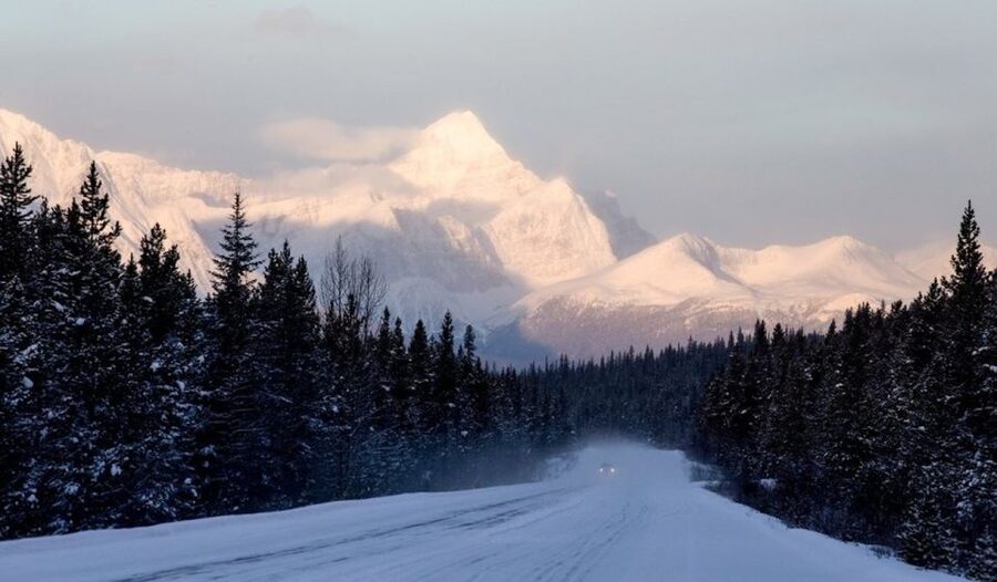 Banff: Icefields Parkway & Abraham Lake Ice Bubbles Tour - Key points to know