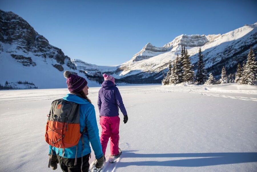 Banff: Icefields Parkway & Abraham Lake Ice Bubbles Tour - Why the ice bubbles make this tour different