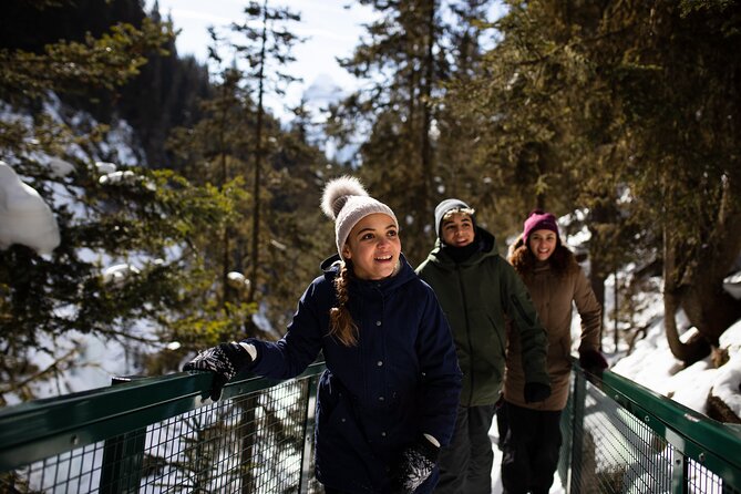 Banff, Lake Louise and Johnston Canyon - Winter Wonderland Tour - Johnston Canyon: the day’s best winter walk