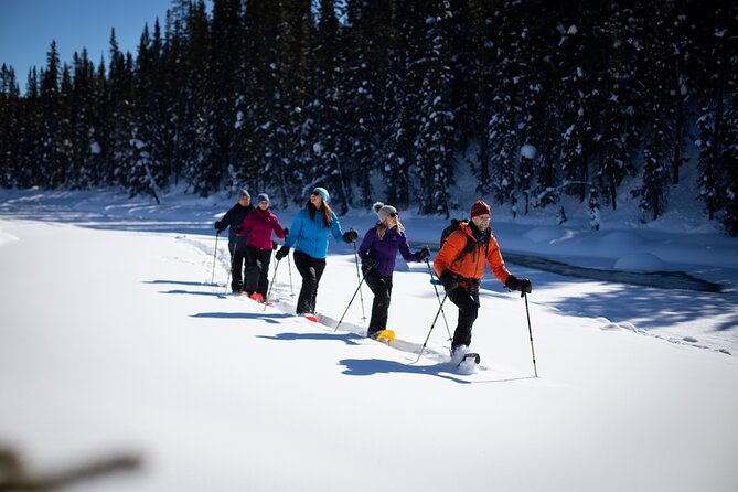Banff, Lake Louise and Johnston Canyon - Winter Wonderland Tour - The Bow Valley Parkway and extra stops