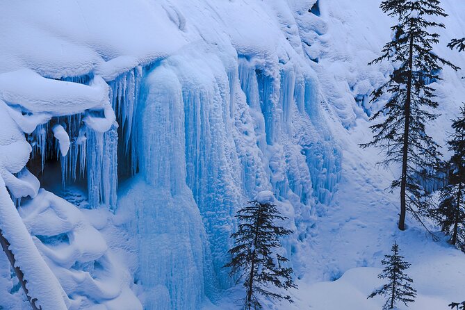 Banff, Lake Louise and Johnston Canyon - Winter Wonderland Tour - What the $180.96 price includes