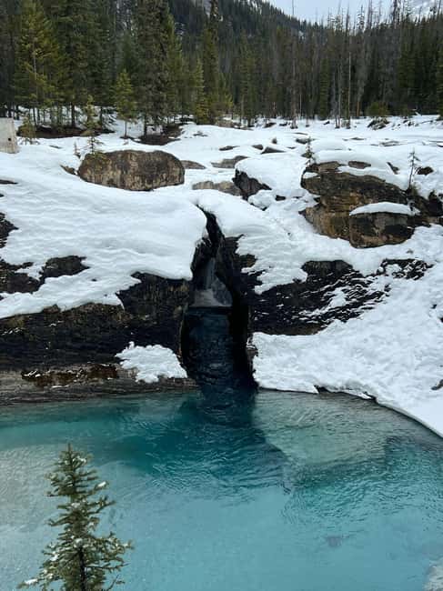Banff: Lake Louise, Emerald, Moraine Lake & Johnston Canyon - Lunch Is Flexible, Not Included