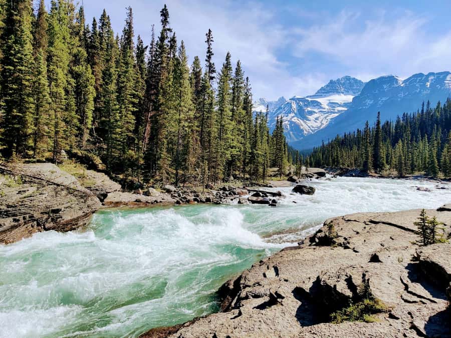Banff: Moraine Lake, Lake Louise, Emerald Lake and Yoho Trip - Lake Louise: the first major view