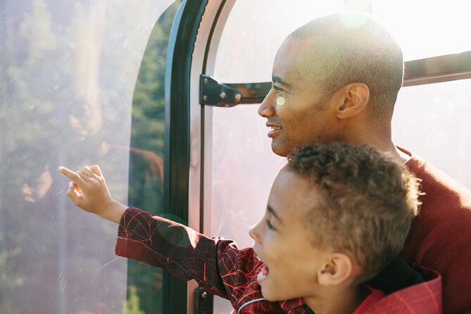 Banff Morning Tour Scenic Highlights and Gondola Ride - A fast route with real variety