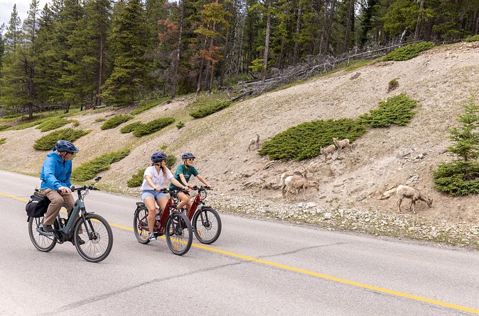 Banff Mountain Lakeside - E-bike Tour - Lake Minnewanka is the main visual payoff