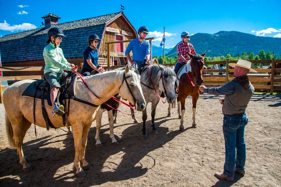 Banff National Park: 1-Hour Bow River Horseback Ride - Meeting your horse and learning the basics