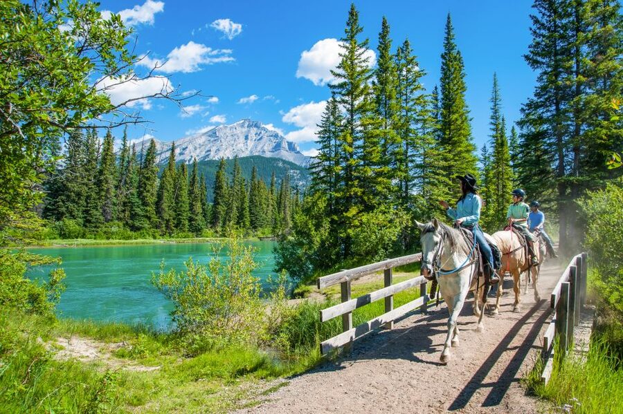 Banff National Park: 1-Hour Bow River Horseback Ride - Who should book this ride