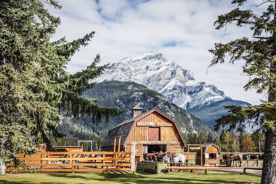 Banff National Park: 1-Hour Bow River Horseback Ride - Starting at the red stables on Sundance Road