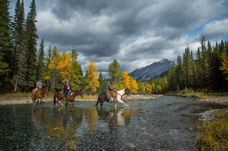 Banff National Park: 1-Hour Spray River Horseback Ride - Calm horses and a reassuring start