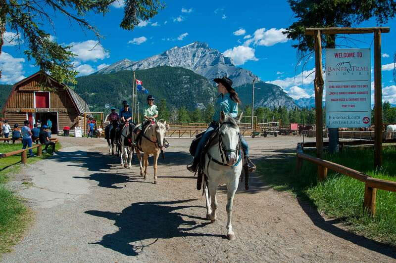 Banff National Park: 2-Hour Sundance Loop Horseback Ride - What the horses and guides add