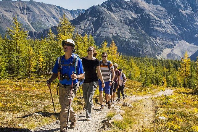 Banff National Park Guided Hike with Lunch - Four trails, four very different Banff days