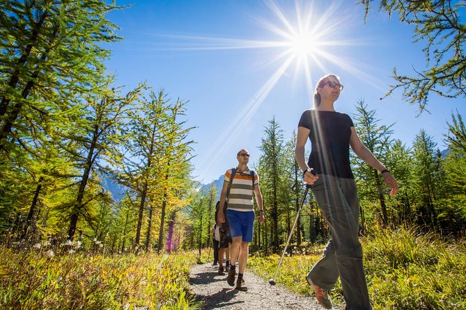 Banff National Park Guided Hike with Lunch - Cancellation and weather planning