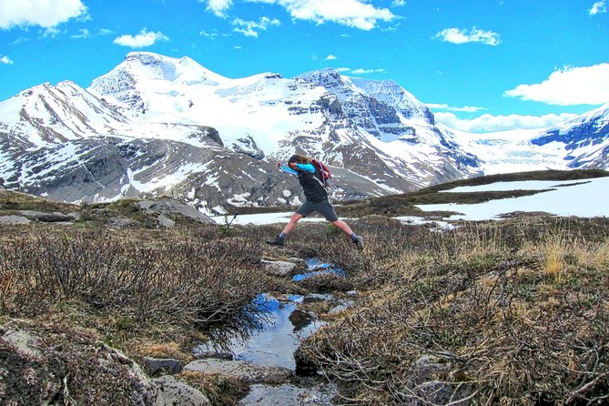 Banff to Jasper One-Way Tour - Lunch is simple, useful, and included