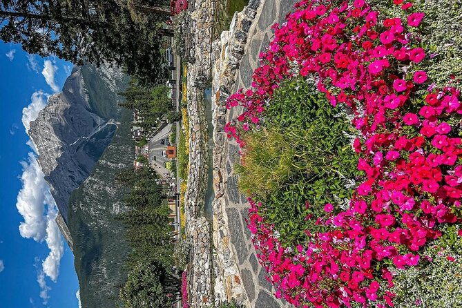 Banff Town Walking Tour Includes Refreshment and Sweet Treat - Banff’s shops, souvenirs, and everyday feel