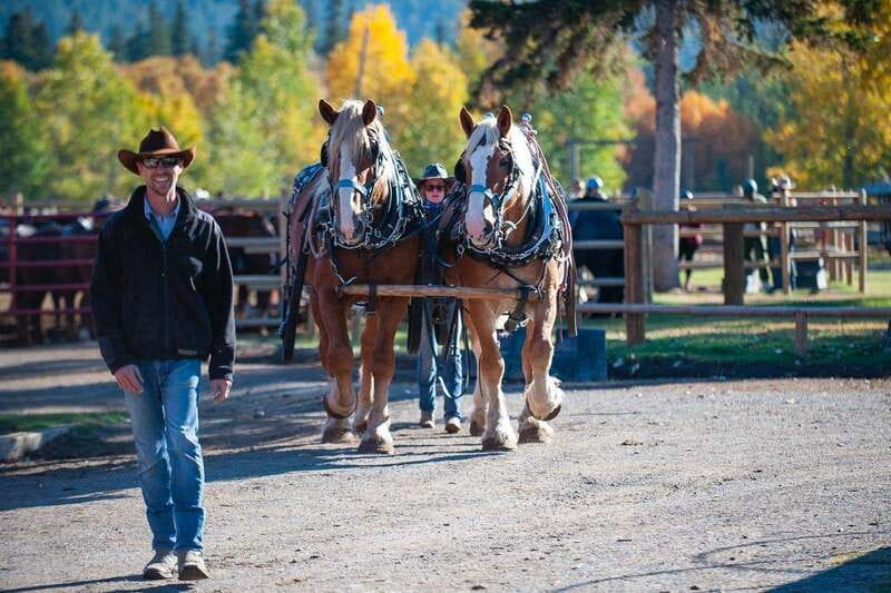 Banff: Wagon Ride with Cowboy Cookout BBQ - Roping, Horseshoes, and the Campfire