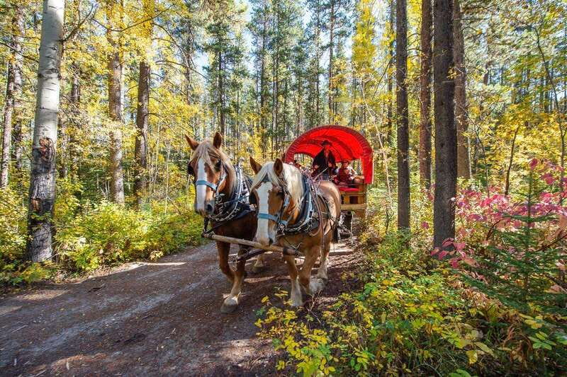 Banff: Wagon Ride with Cowboy Cookout BBQ - Booking, Weather, and Cancellation Details