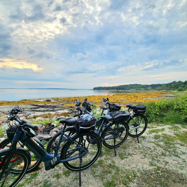 Bar Harbor: Acadia National Park Carriage Roads Ebike Tour - Key Points to Know Before You Book