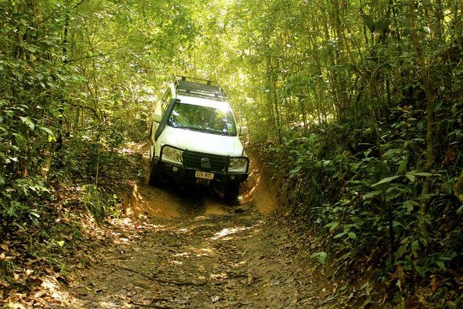 Barron Gorge and Kuranda National Park Half Day Rainforest and Waterfall 4WD Tour from Cairns - Barron Falls, the tour’s headline view