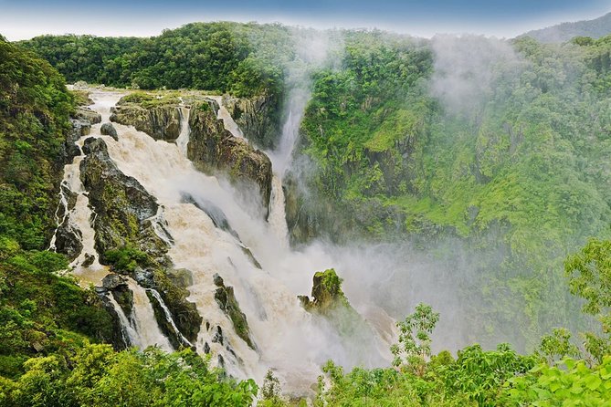 Barron Gorge and Kuranda National Park Half Day Rainforest and Waterfall 4WD Tour from Cairns - Kuranda National Park and the rainforest drive