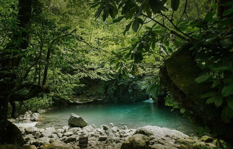 Batumi to Mtirala National park - Half day hiking group tour - Key points at a glance