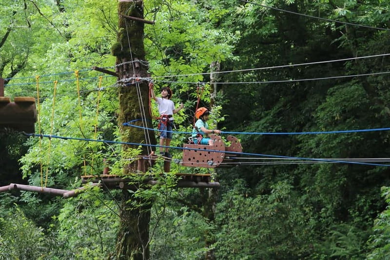 Batumi to Mtirala National park - Half day hiking group tour - Who should book this Mtirala tour?