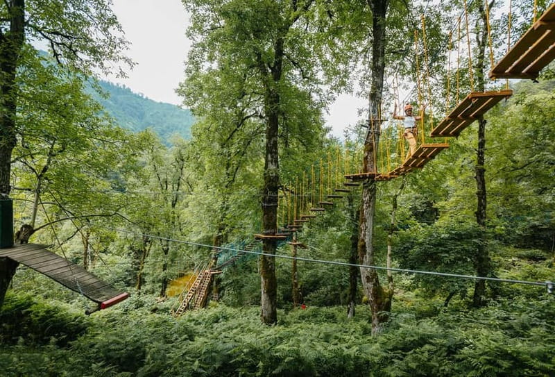 Batumi to Mtirala National park - Half day hiking group tour - Reaching the waterfalls and pools