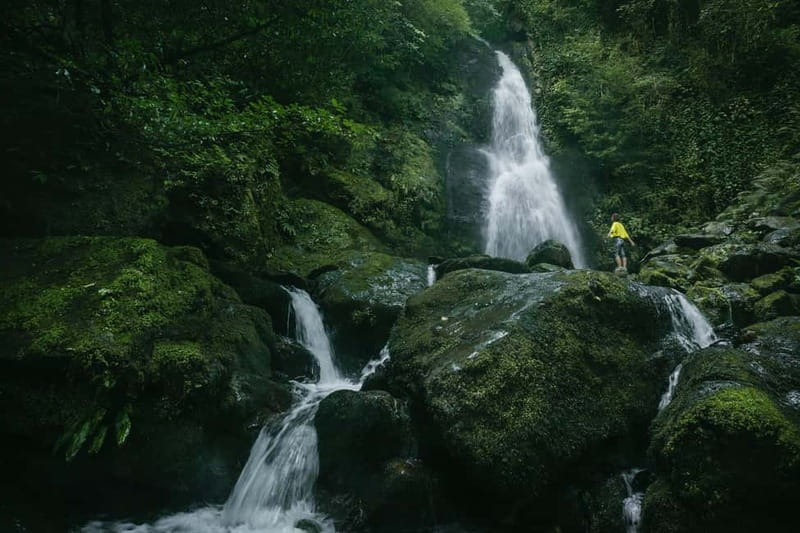Batumi to Mtirala National park - Half day hiking group tour - Leaving Batumi at 2pm