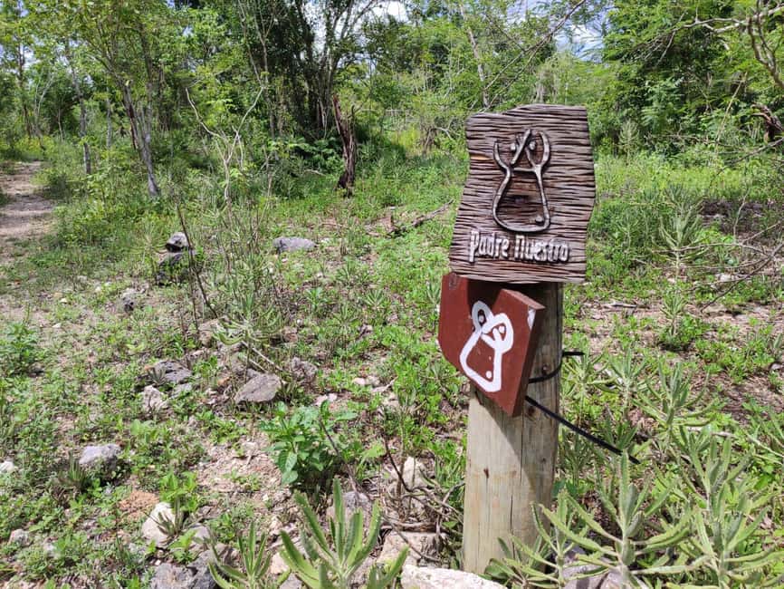 Bayahibe: National Park Jungle Walk & Snorkeling in Cenotes - Who should book this experience
