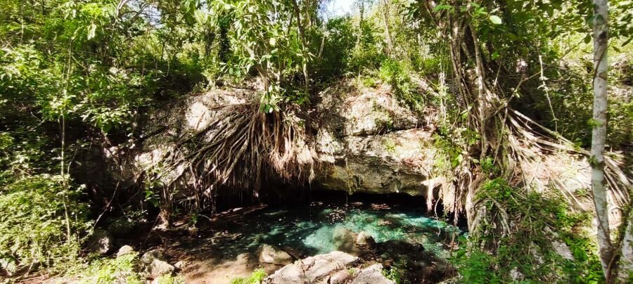 Bayahibe: National Park Jungle Walk & Snorkeling in Cenotes - Descending into the cool water