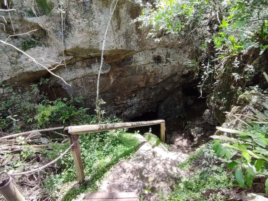 Bayahibe: National Park Jungle Walk & Snorkeling in Cenotes - The final forest walk and aperitif