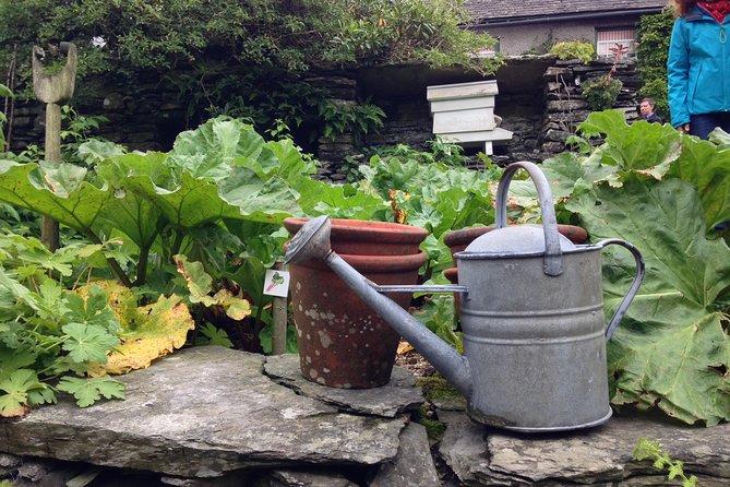 Beatrix Potter's Half Day Lake District Tour Including Lake Cruise - Is the $120.62 price good value?