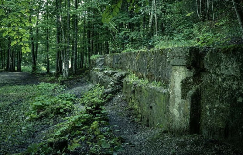 Berchtesgaden: Private Eagle's Nest & Obersalzberg WWII Tour - Key points to know before booking