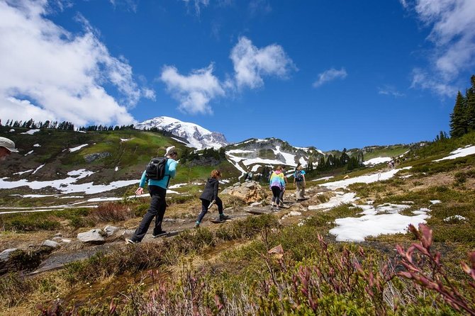 Best of Mount Rainier National Park from Seattle: All-Inclusive Small-Group Tour - Reflection Lakes depends on access and weather
