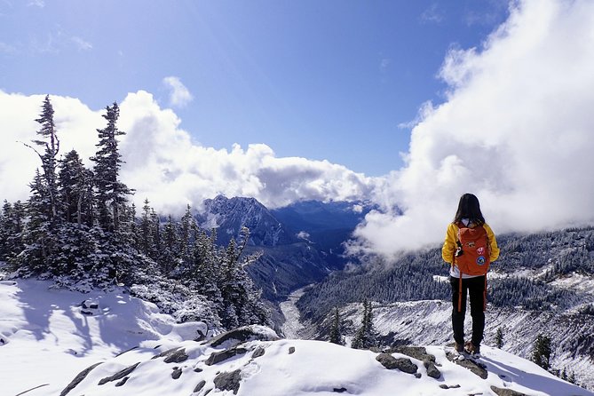 Best of Mount Rainier National Park from Seattle: All-Inclusive Small-Group Tour - Food and comfort are better than the usual day tour