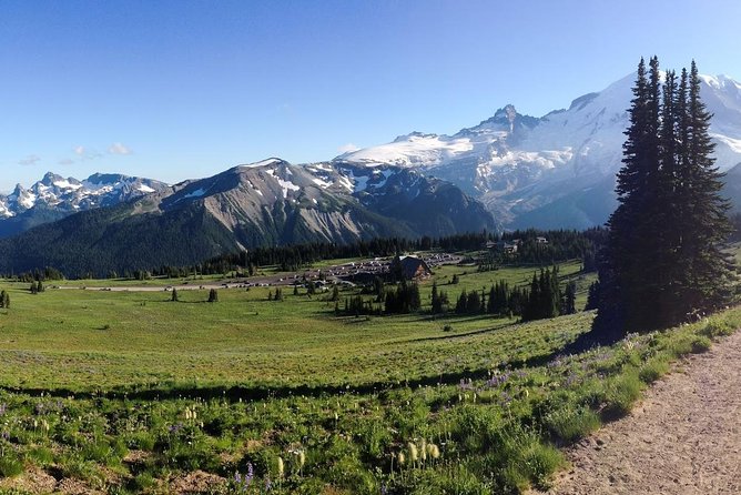 Best of Mount Rainier National Park from Seattle: All-Inclusive Small-Group Tour - What the guides add to the day