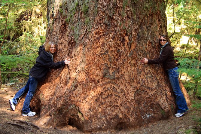 Best of Olympic National Park from Seattle: All-Inclusive Small-Group Day Tour - Why this is one of Seattle’s best full-day nature trips