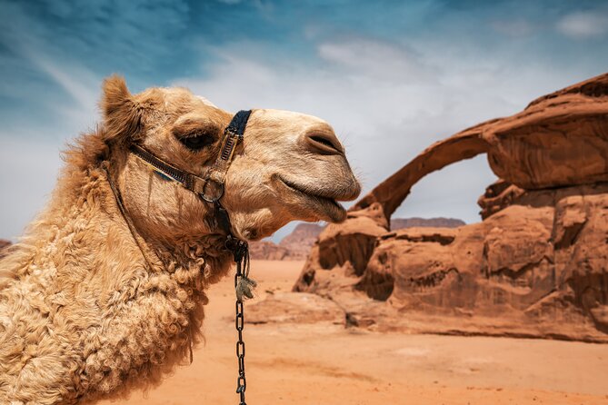 Best of Wadi Rum | Full day Jeep tour + Sleep under the stars | Pack all-in - Sunset, dinner, and sleeping under the stars