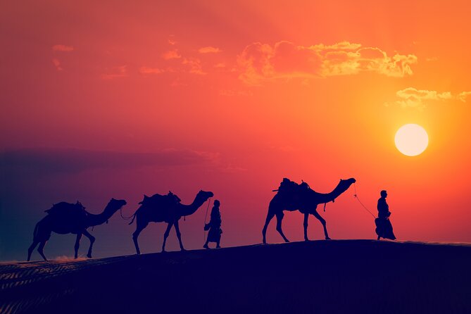 Best of Wadi Rum | Full day Jeep tour + Sleep under the stars | Pack all-in - What the $115.15 price really covers