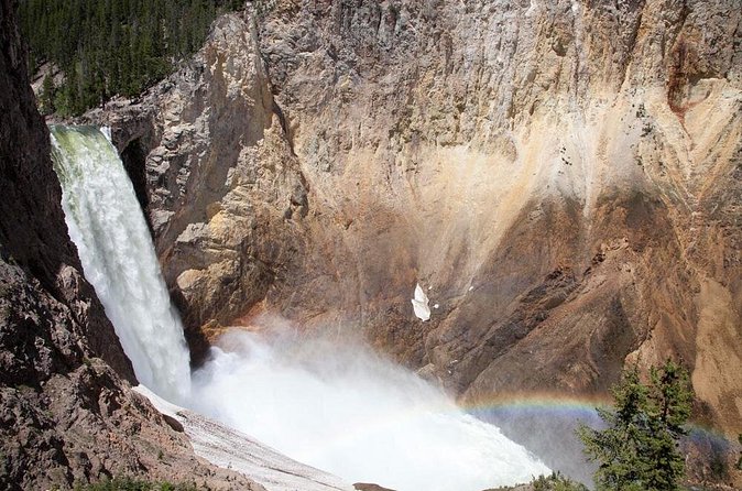Best of Yellowstone - Guided National Park Safari Tour - Old Faithful and Fountain Paint Pot